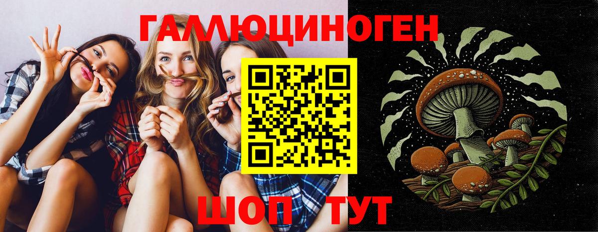 Галлюциногенные грибы мицелий Петрозаводск