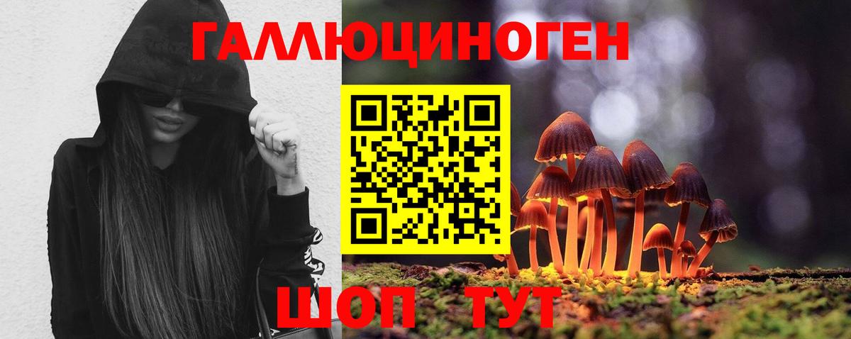 Псилоцибиновые грибы MAGIC MUSHROOMS  Псилоцибиновые грибы мухоморы  Вход с VPN  Петрозаводск 